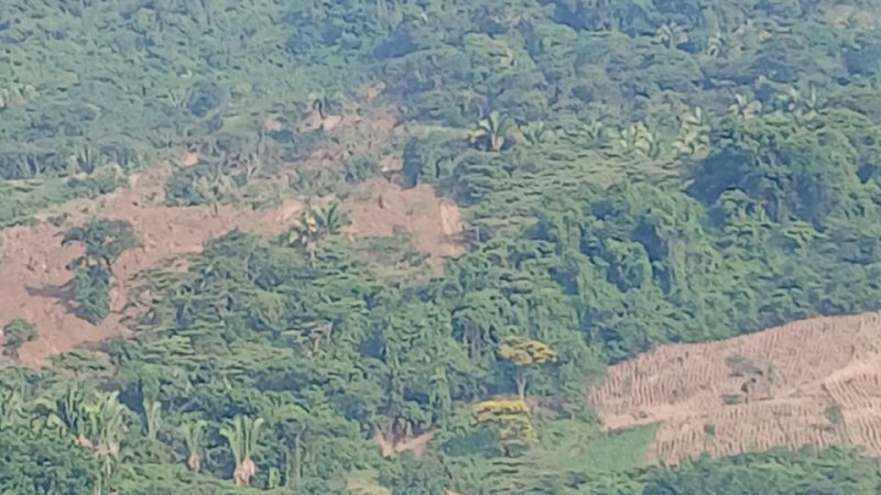 Descartan falla geológica