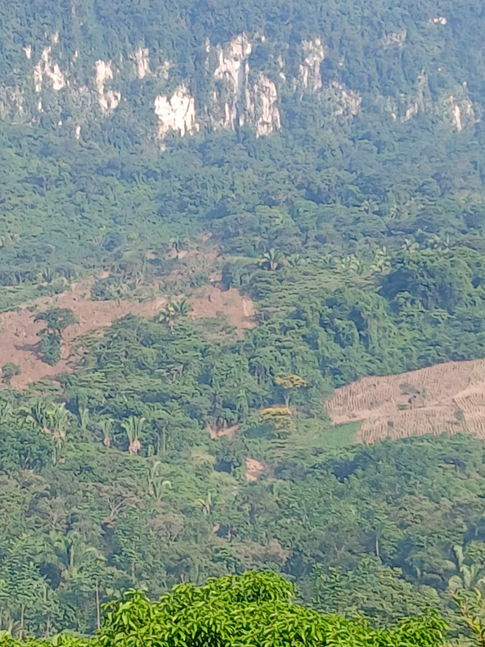 Descarta Protección Civil falla geológica en San Felipe Jalapa de Díaz, Oaxaca
