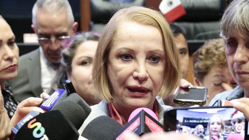 Laura Itzel Castillo Juárez