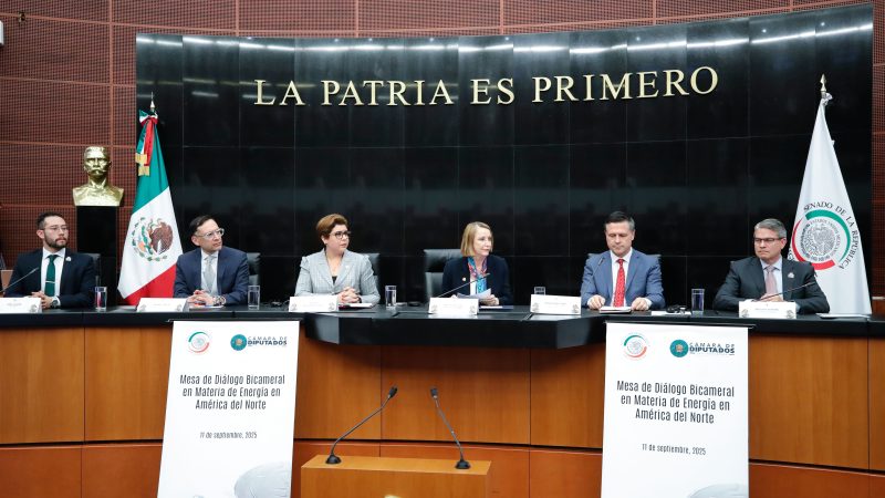 Mesa de Diálogo Bicameral