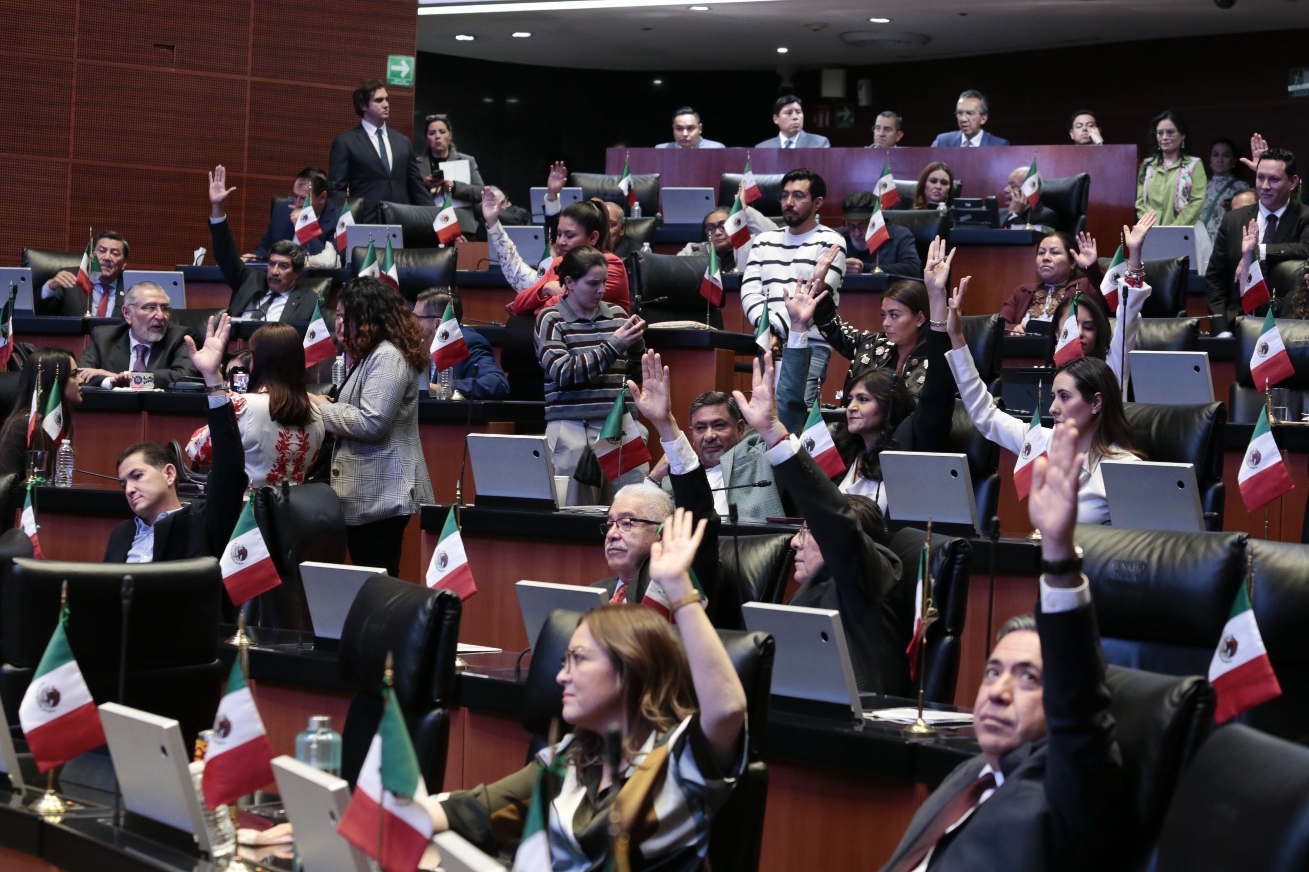 Niega Senado licencia a la jueza de Distrito Irlanda Gabriela Pacheco Torres