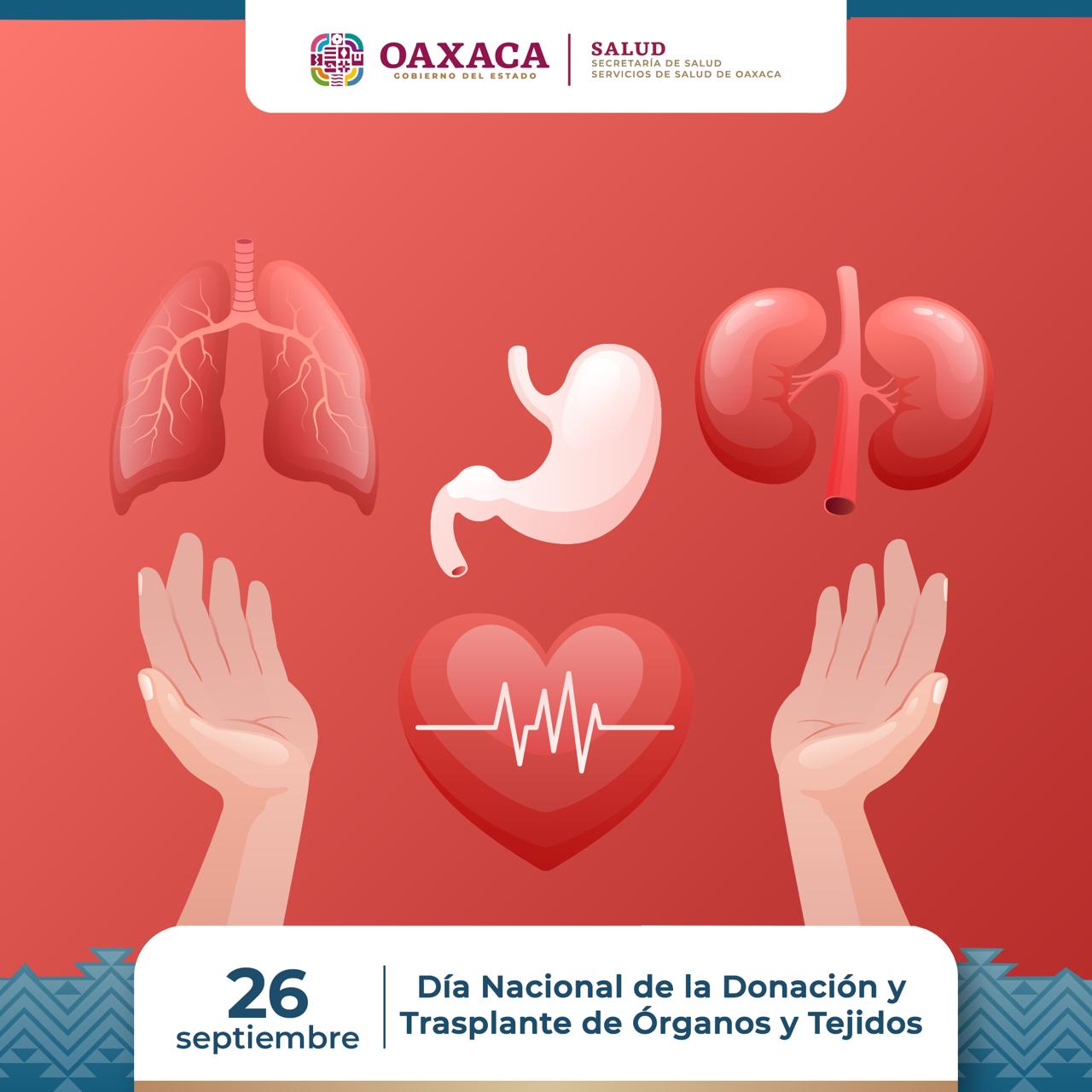 Llaman a sumarse a la cultura de donación de órganos y tejidos, acto de amor que trasciende la vida: SSO