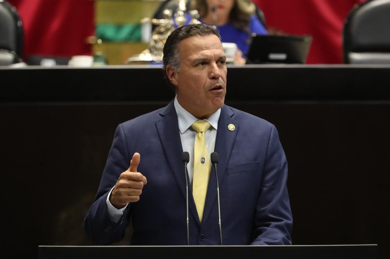 Promueven Iniciativa para fortalecer la reforestación y proteger especies endémicas