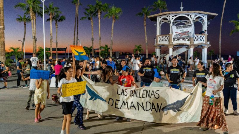 Batalla legal por el Golfo de California