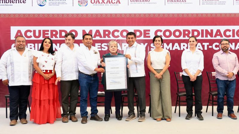 Alicia Bárcena Ibarra