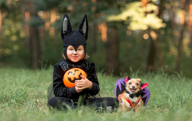 Halloween y Día de Muertos: Celebra con tu perro y crea recuerdos inolvidables