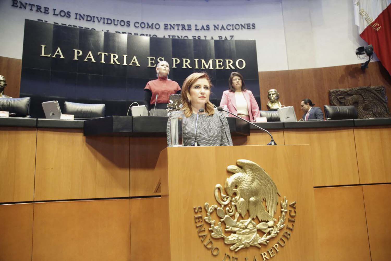 Crear equipos de respuesta rápida para la búsqueda de mujeres, adolescentes y niñas desaparecidas, pide senadora