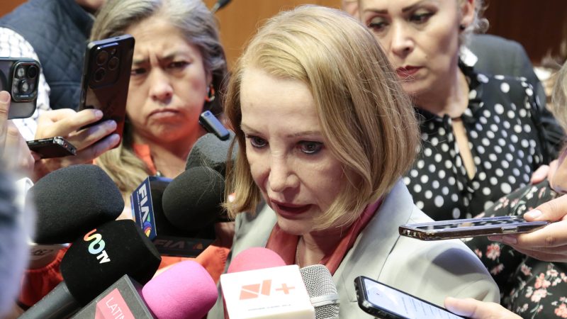 Laura Itzel Castillo Juárez