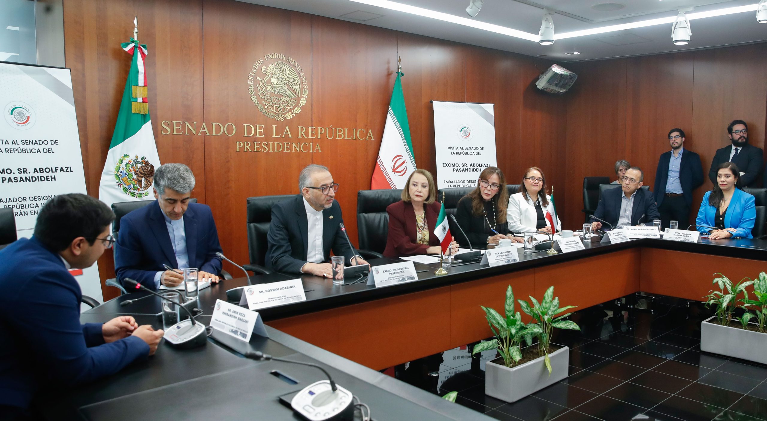 Coinciden México e Irán en importancia de la solución pacífica de conflictos: Castillo Juárez