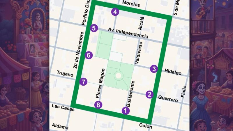 Verbena Popular Xandú