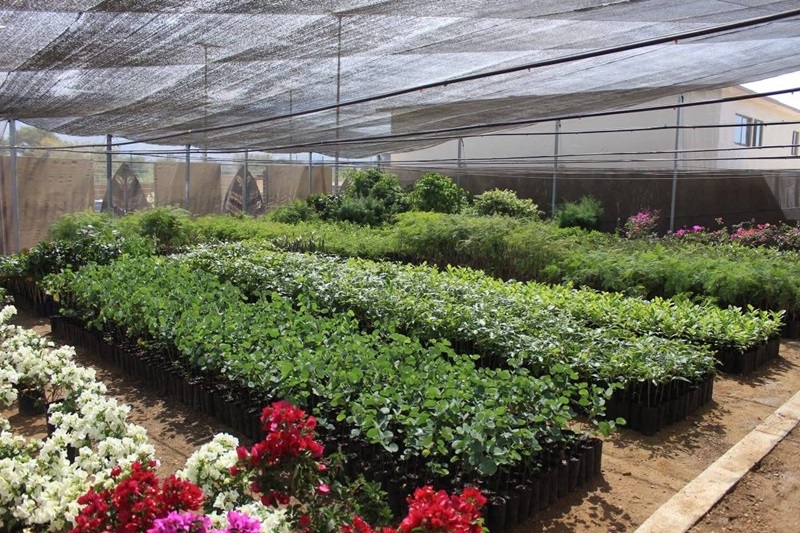 Pone Coesfo en marcha vivero en la nueva Estación de Transferencia de Residuos Sólidos Urbanos