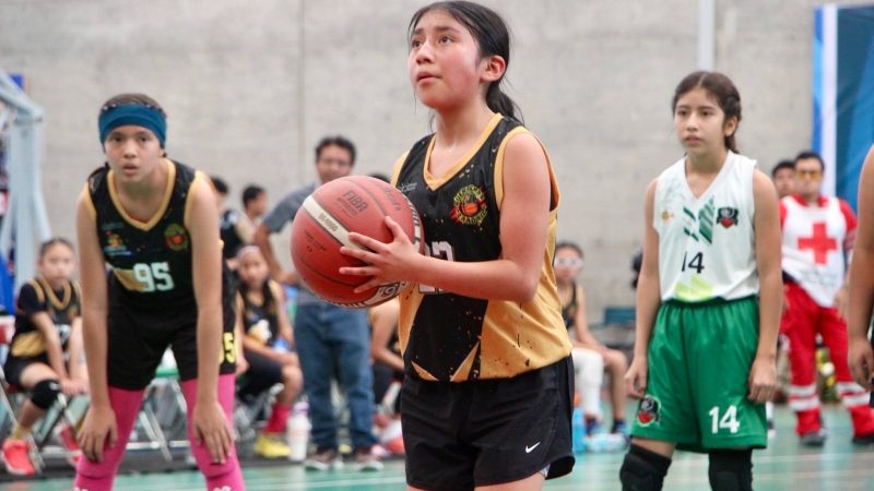 Definidos ocho equipos representativos