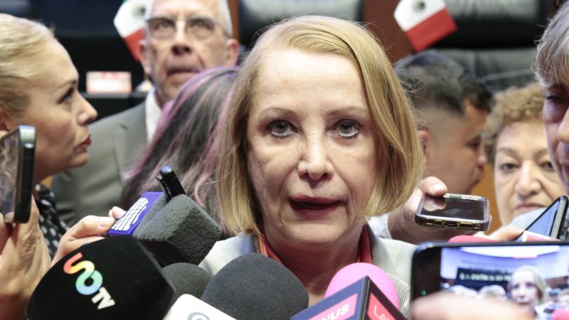 Laura Itzel Castillo Juárez