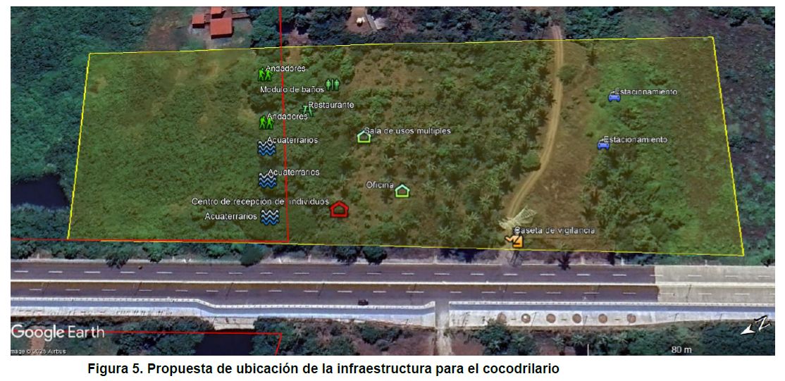 Presentan en la COP30 modelo de convivencia entre humanos y cocodrilos para enfrenar cambio climático en Mechoacán