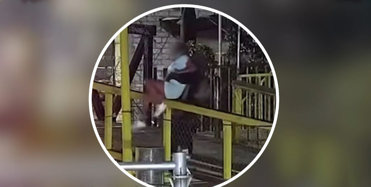 En acción coordinada, C5i y Policía Estatal salvaguardan a mujer en riesgo en puente peatonal de Oaxaca