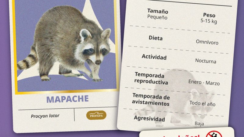 “Vecinos silvestres”