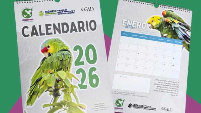 Calendario de loros 2026