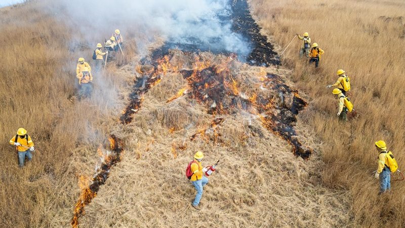 Zona Arqueológica de Monte Albán