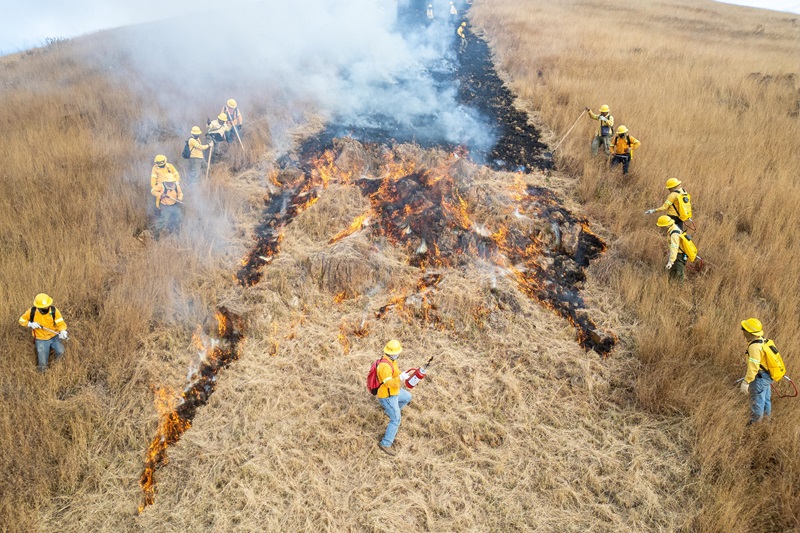 Inicia Comisión Estatal Forestal apertura de línea negra para proteger perímetro de Monte Albán