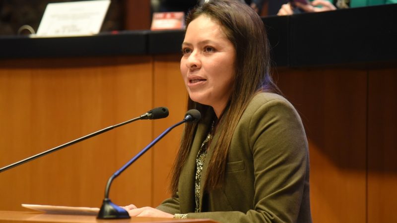 Karen Castrejón Trujillo