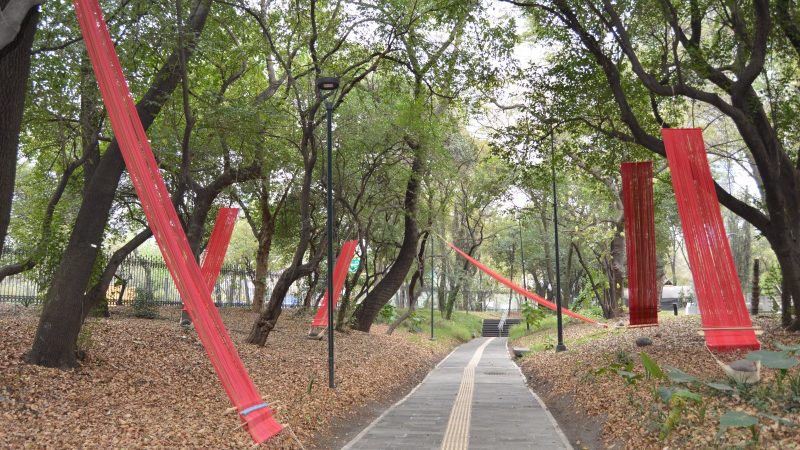 Las ancestras que tejen, hablan y caminan