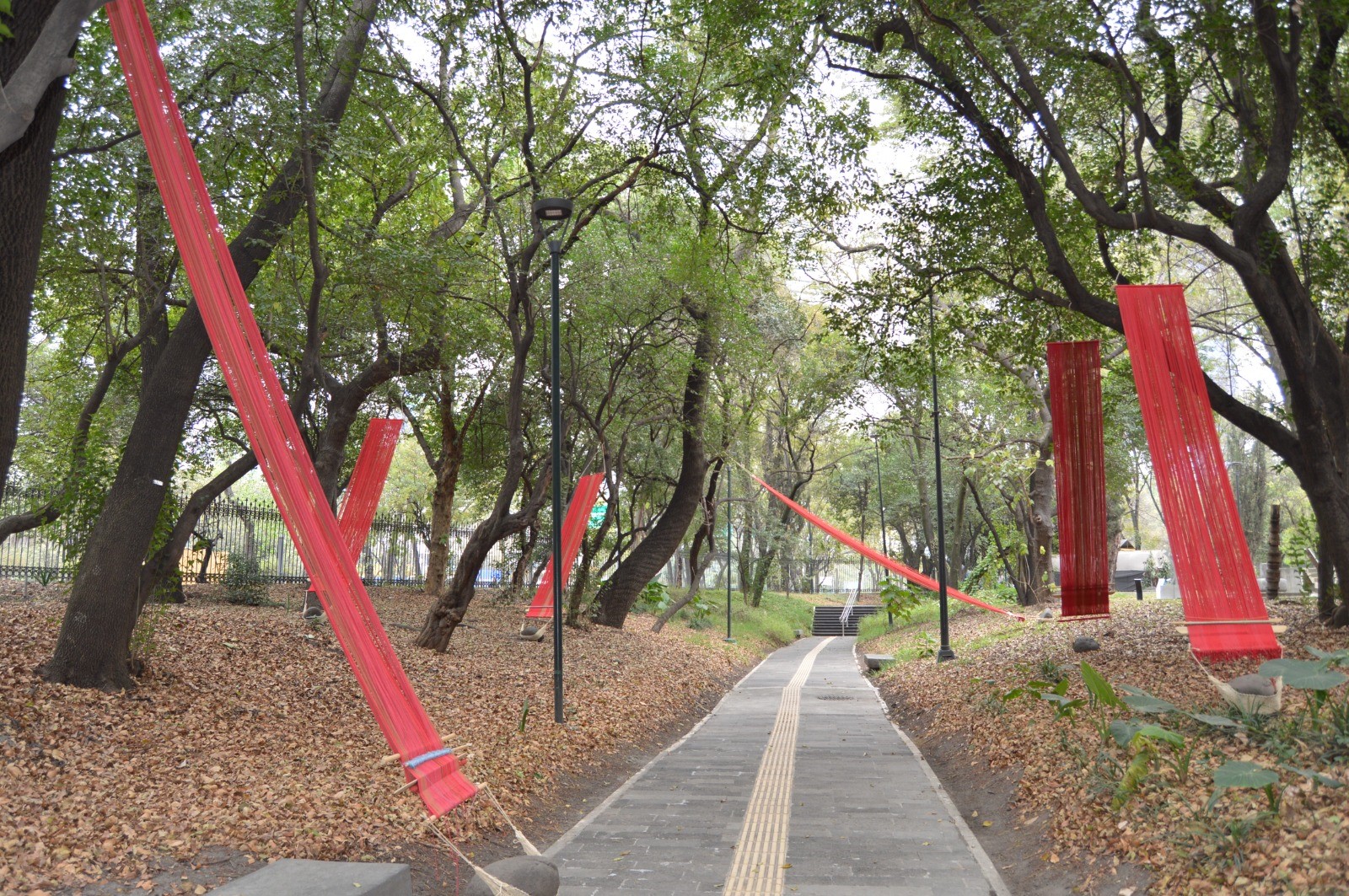 Las ancestras que tejen,hablan y caminan, instalación que María Sosa presenta en el Museo de Arte Moderno