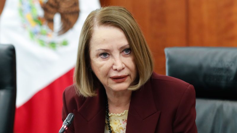 Laura Itzel Castillo Juárez