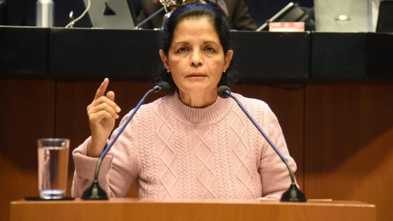 María del Rocío Corona Nakamura