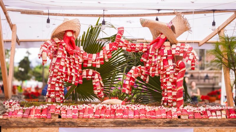 Creatividad y orgullo oaxaqueño