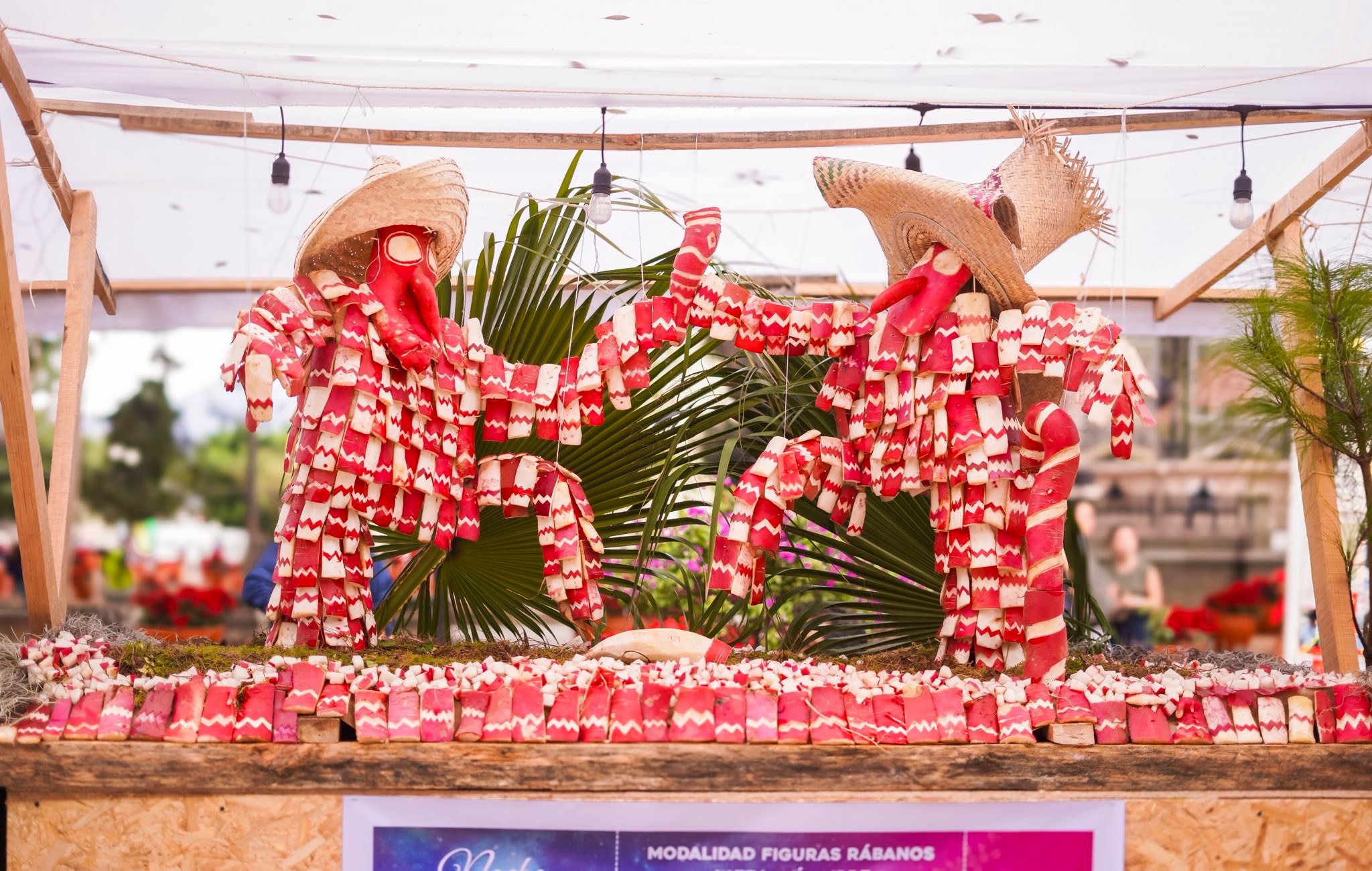 Creatividad y orgullo oaxaqueño brillan en la edición 128 de la Noche de Rábanos