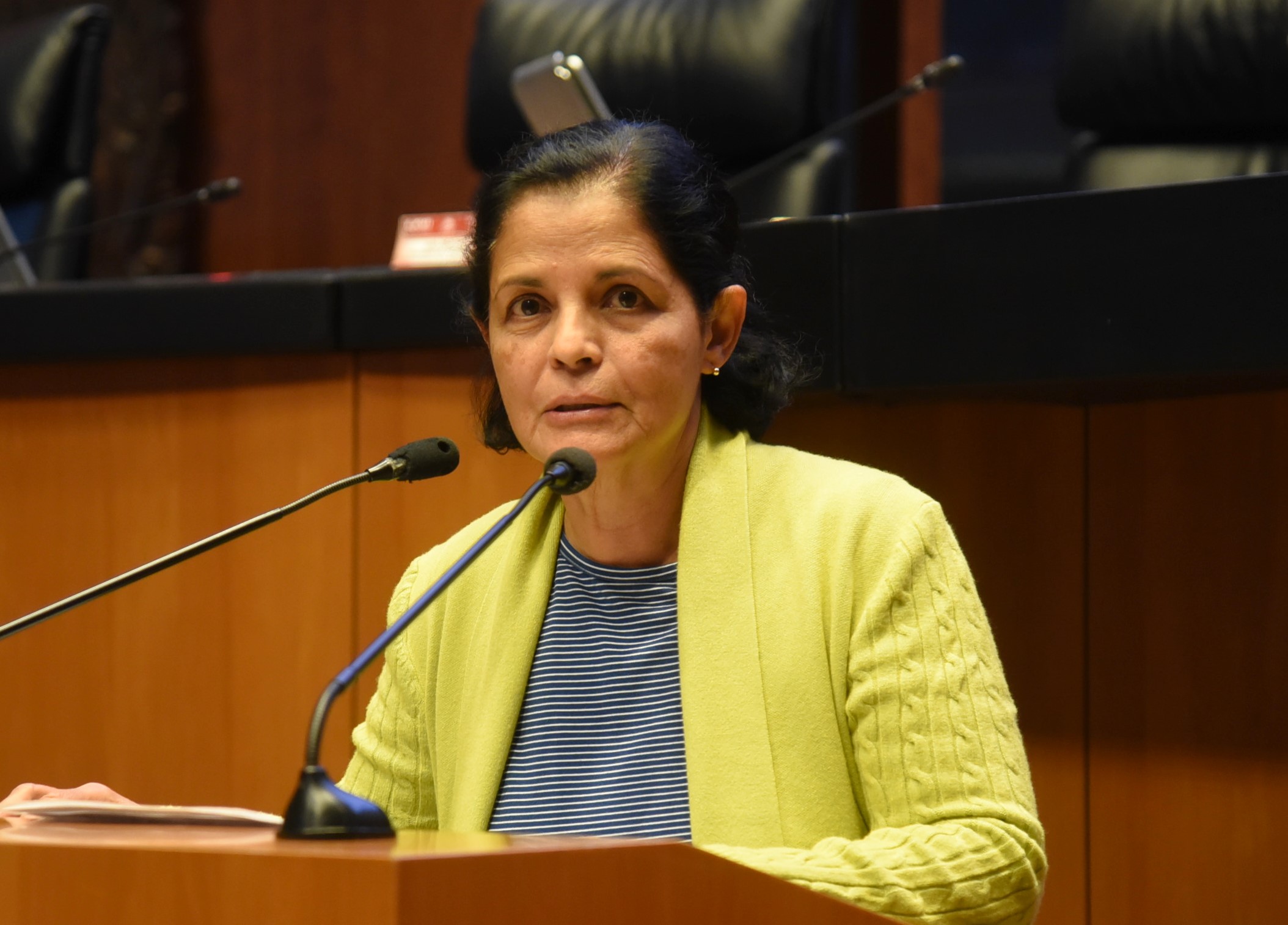 Urge senadora a estados del sur a rendir cuentas sobre política migratoria