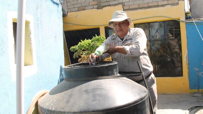 Oaxaca acumula 274 casos de dengue