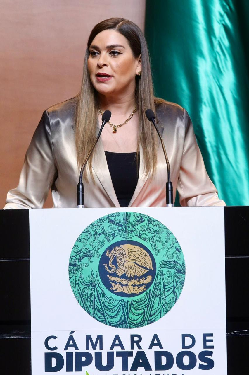 Plantea diputada Federal reformas para fortalecer el desarrollo social participativo