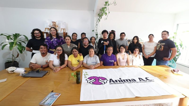 Identidad de las infancias transgénero