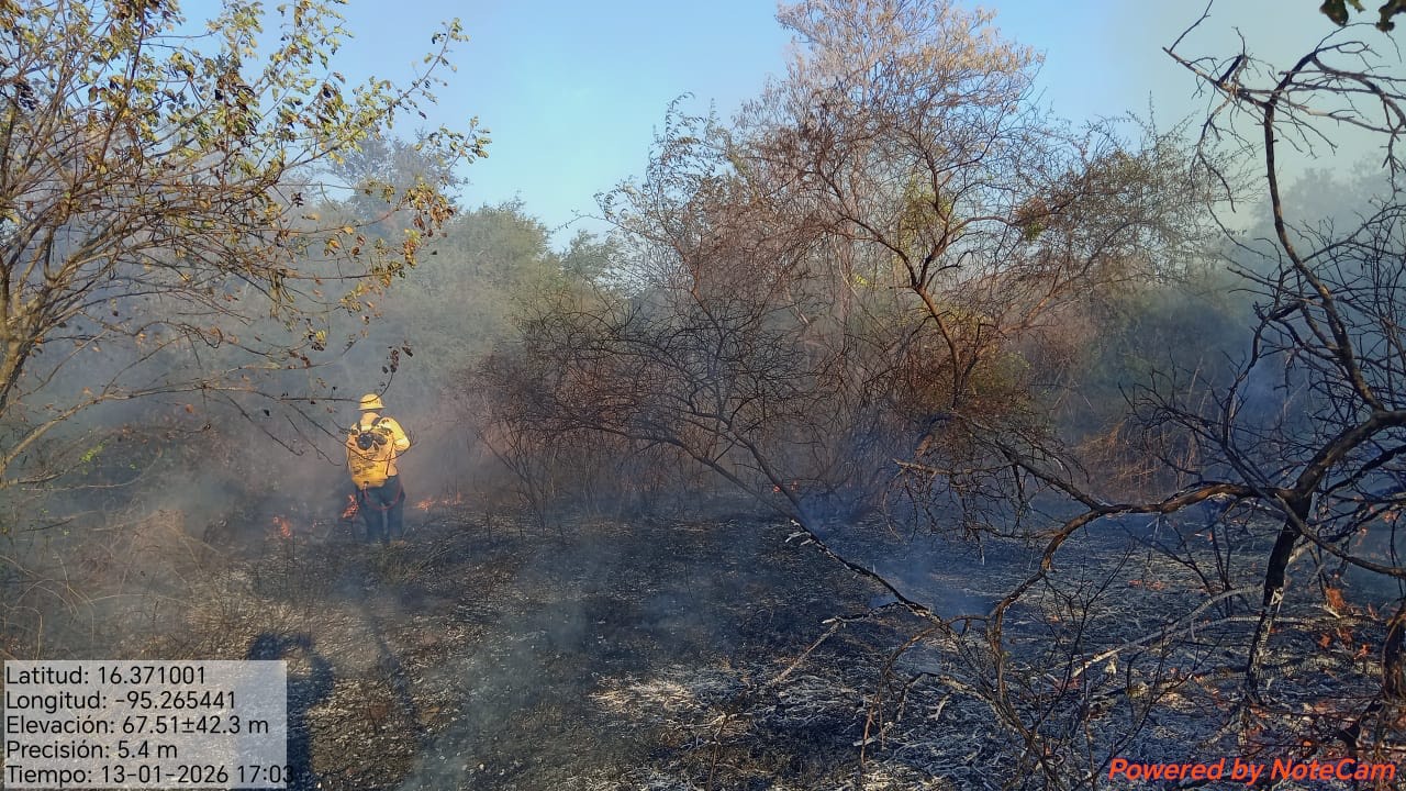 Liquidan incendios de pastizales en Santa María Mixtequilla y Oaxaca de Juárez