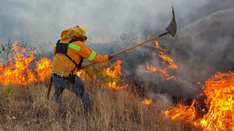 Incendio de pastizal