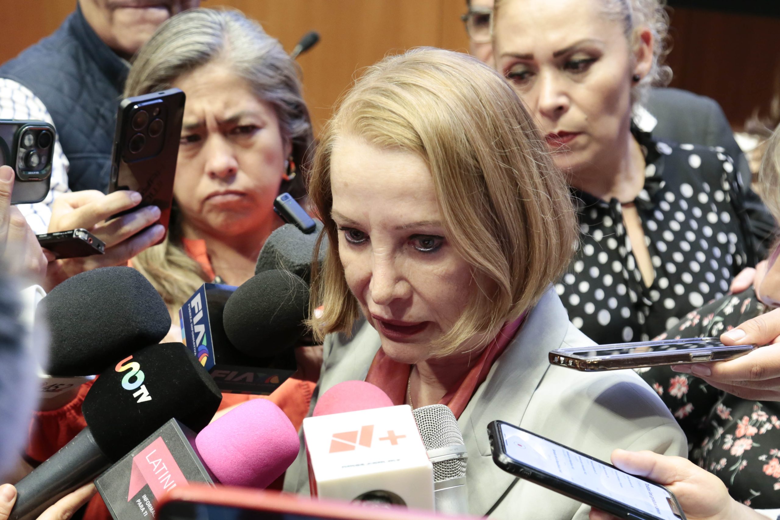 Reforma Electoral debe propiciar trabajo territorial de legisladores: Castillo Juárez