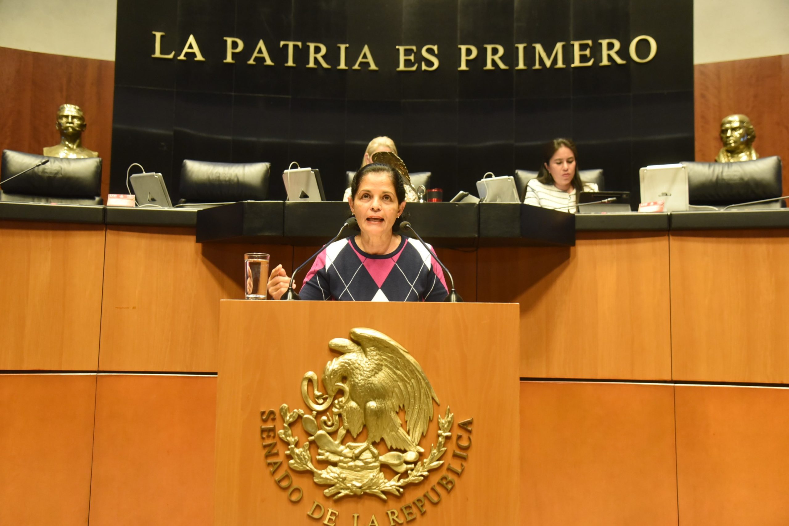 Pide Partido Verde garantizar castigos contra maltrato y crueldad animal