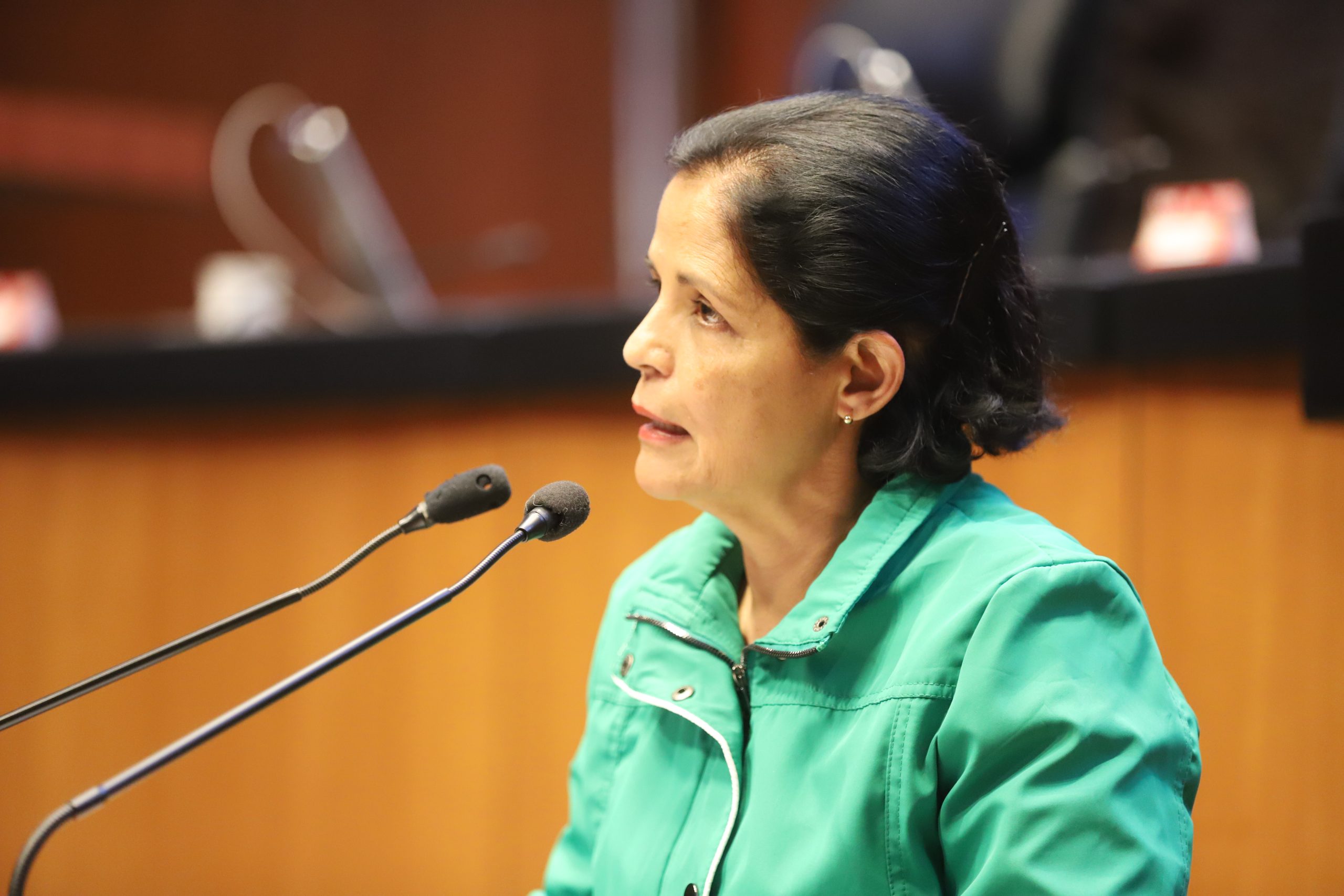 Urge garantizar asistencia social a migrantes que transitan por México: Corona Nakamura