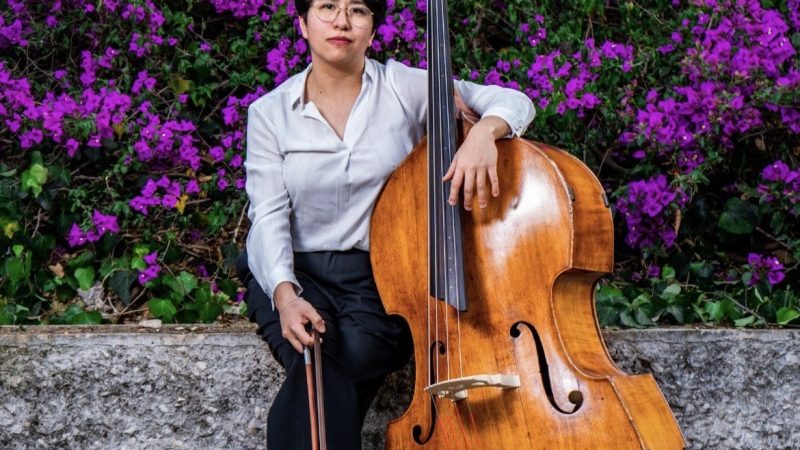 Taller Integral para Contrabajistas