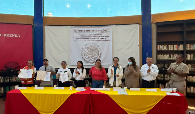 Vigilantes ambientales