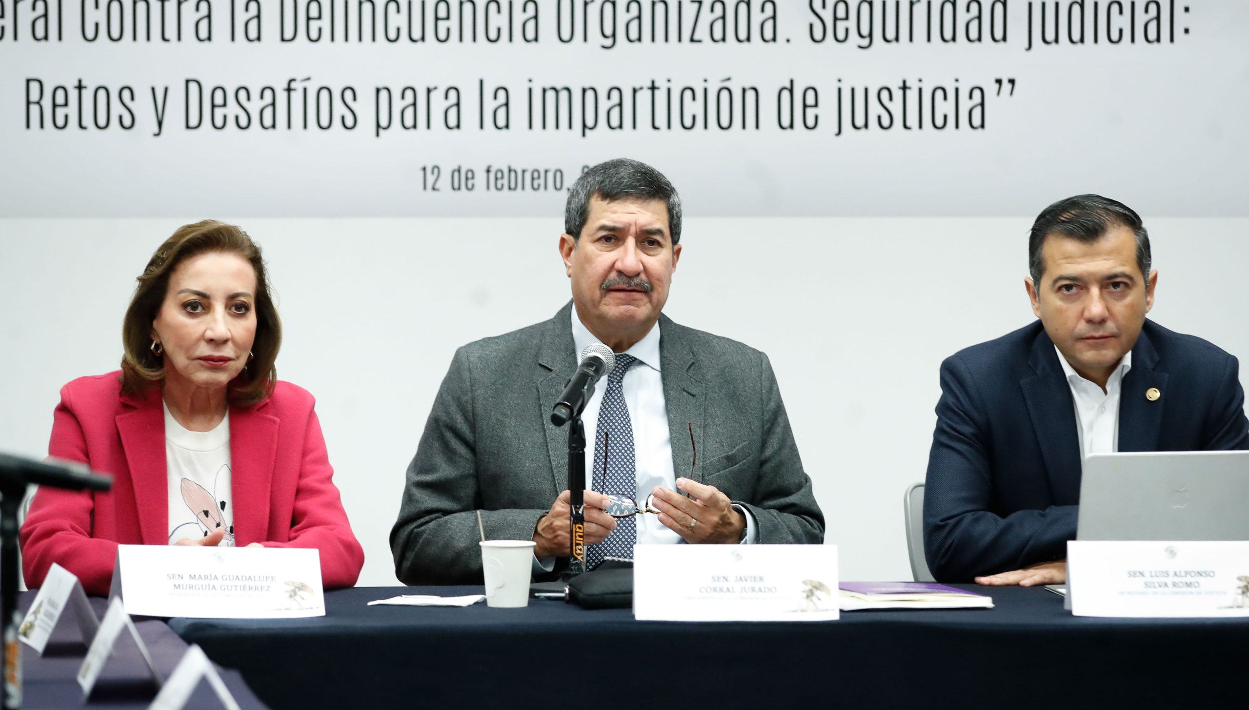 Analizan senadores y especialistas alcances de la figura de los jueces con identidad reservada