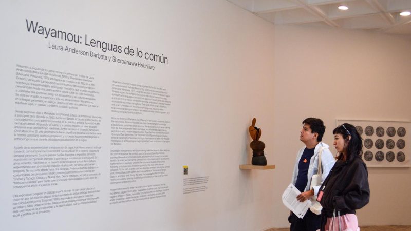 Wayamou Lenguas de lo común