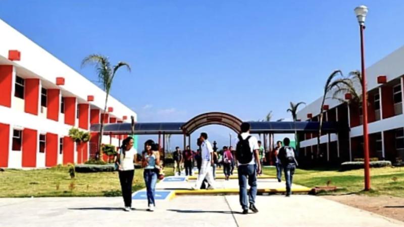 Cuidar salud mental en universitarios