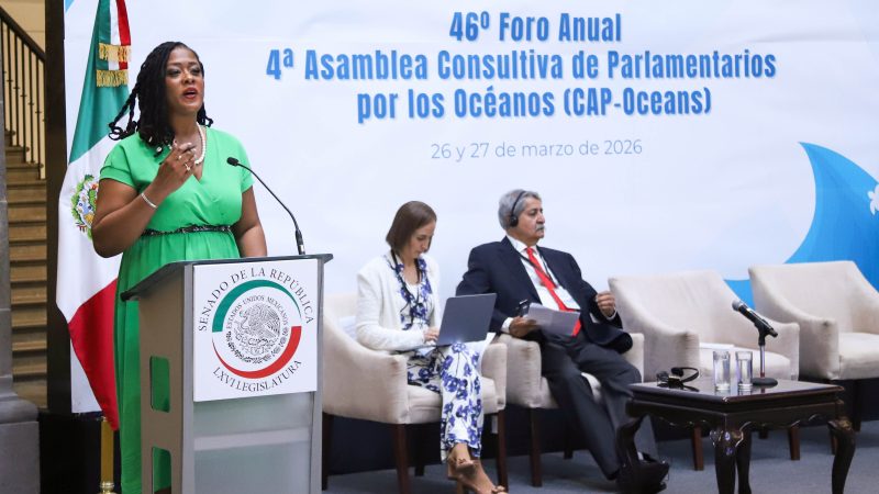 Reforzar protección de océanos