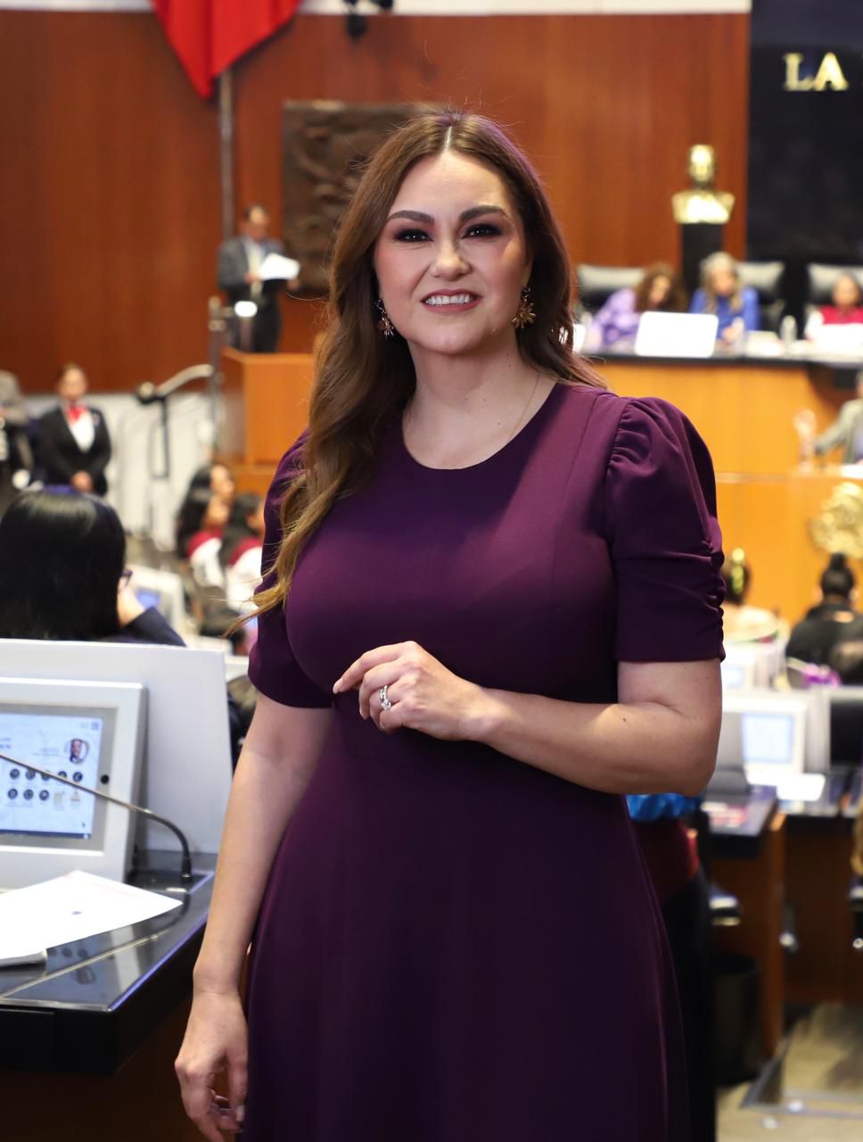 Llama senadora a fortalecer estrategia de prevención y atención de la violencia intrafamiliar en Zacatecas