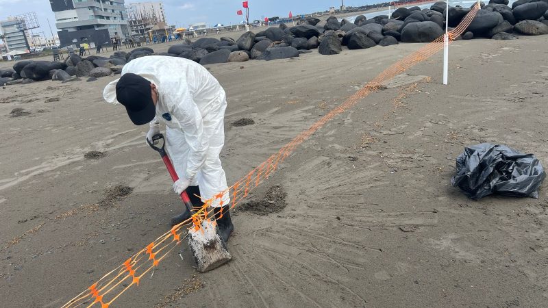 Presencia de hidrocarburos