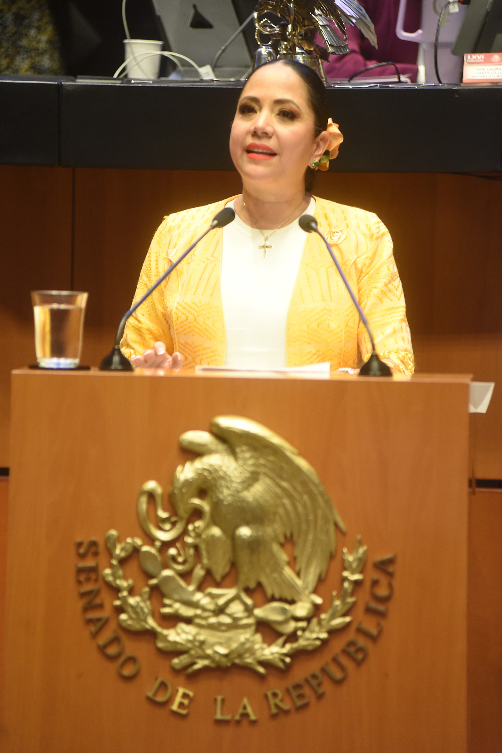 Respalda Partido Verde reforma para eliminar pensiones millonarias financiadas con recursos públicos