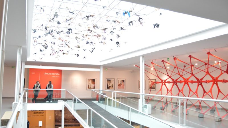 “María Ezcurra. Líneas de fuga”