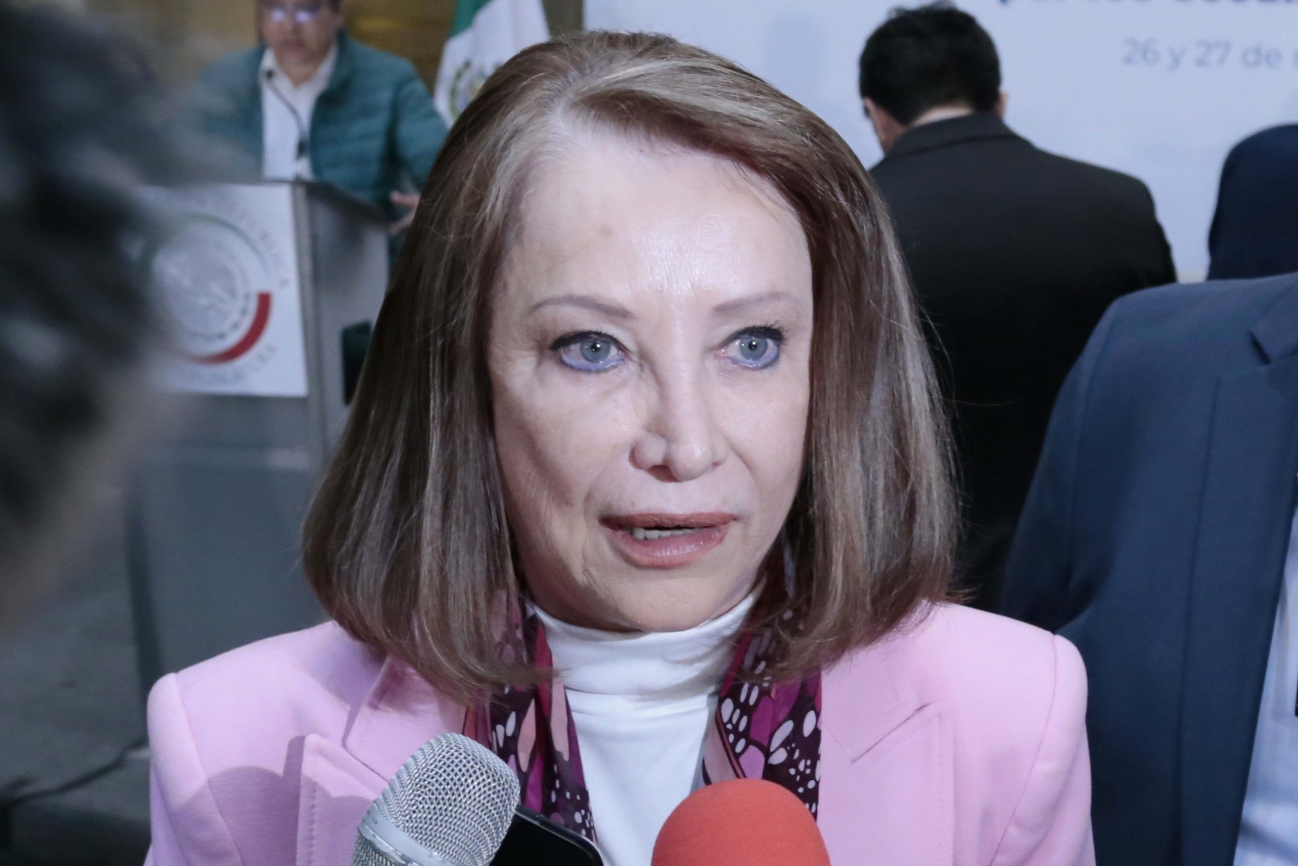 Falta de rigor del Comité contra Desaparición Forzada de la  ONU puede abrir la puerta a intereses injerencistas: Castillo Juárez